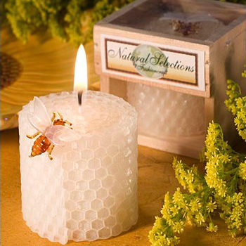 Forniture per feste di complea - Soy Wax recensione e prezzo